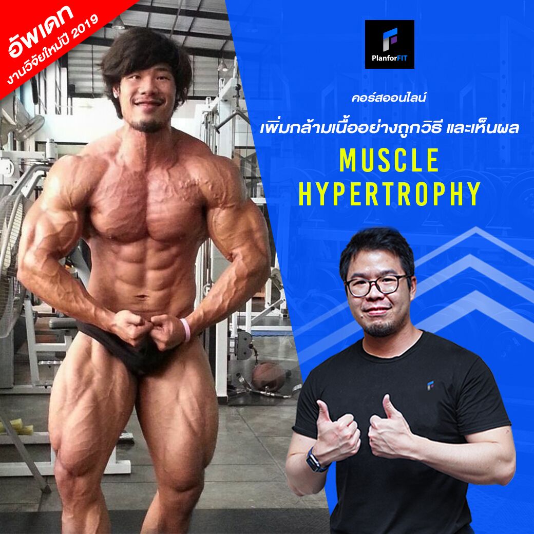 muscle hypertrophy planforfit